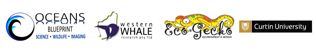 This image has an empty alt attribute; its file name is souwest-partner-website-logos-2-1.jpg